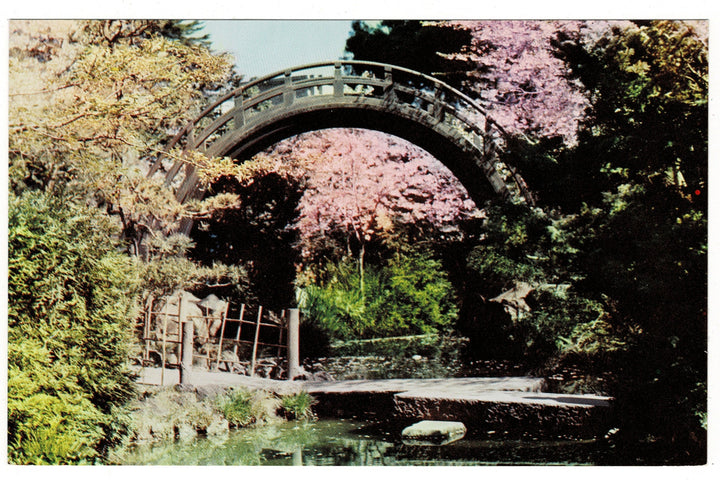 1950s Moon Bridge, Japanese Tea Garden, San Francisco, California Vintage Postcard.