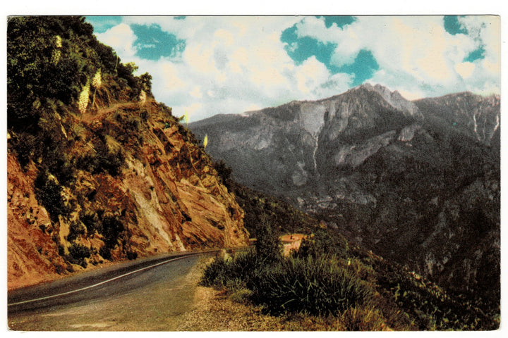 1930s Sequoia National Park Sierra Nevada California Vintage Postcard.