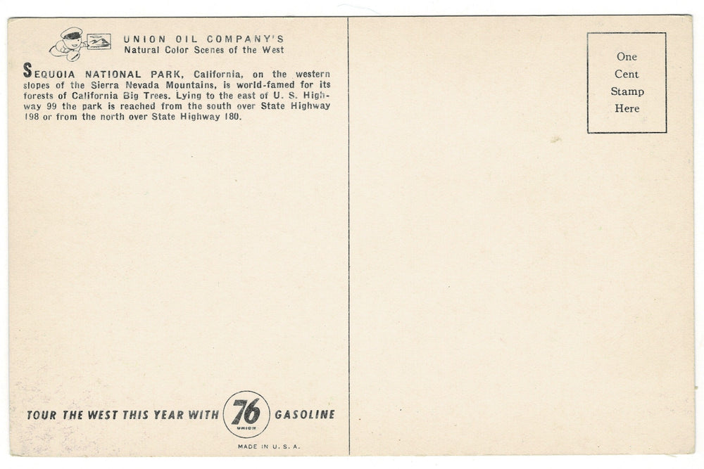 1930s Sequoia National Park Sierra Nevada California Vintage Postcard.