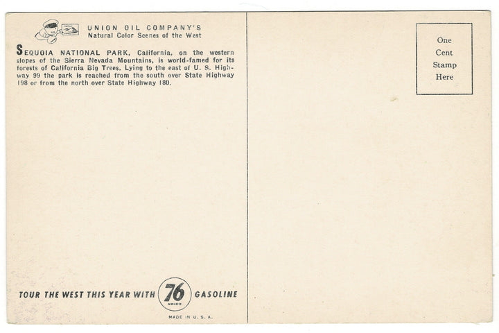 1930s Sequoia National Park Sierra Nevada California Vintage Postcard.