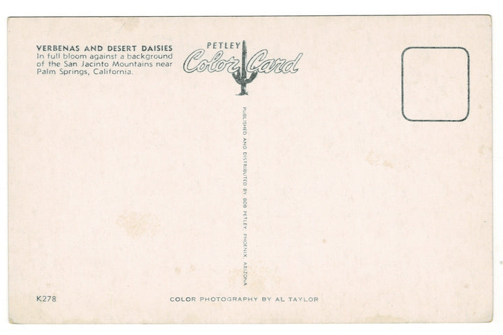 1940 Verbenas Desert Daisies San Jacinto Mountains CA Vintage Postcard.