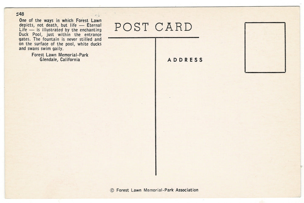 1950s Duck Pool Forest Lawn Park Glendale California Vintage Postcard.