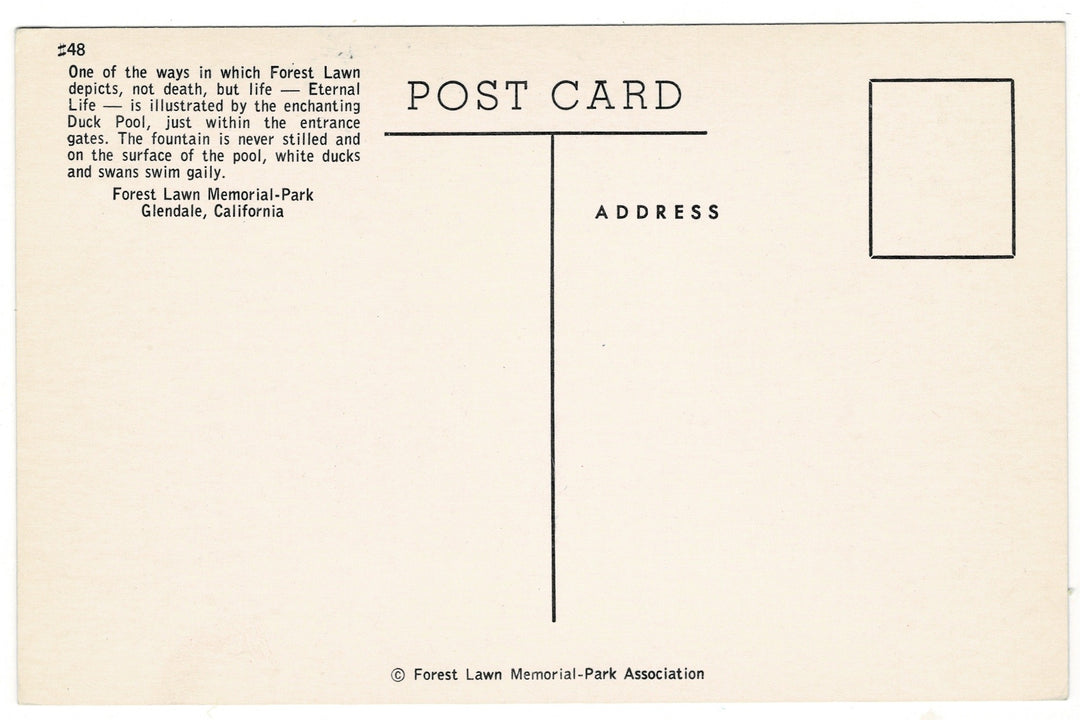 1950s Duck Pool Forest Lawn Park Glendale California Vintage Postcard.