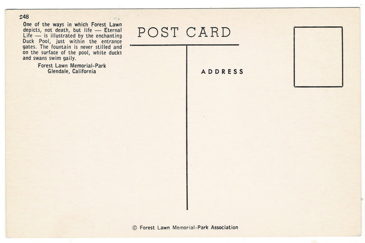 1950s Duck Pool Forest Lawn Park Glendale California Vintage Postcard.