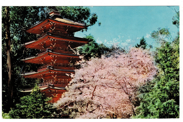 1950s Japanese Tea Garden, San Francisco, California Vintage Postcard.
