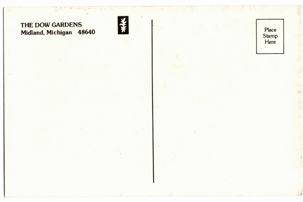 1970s Dow Gardens Lilac in Bloom, Midland, Michigan Vintage Postcard.
