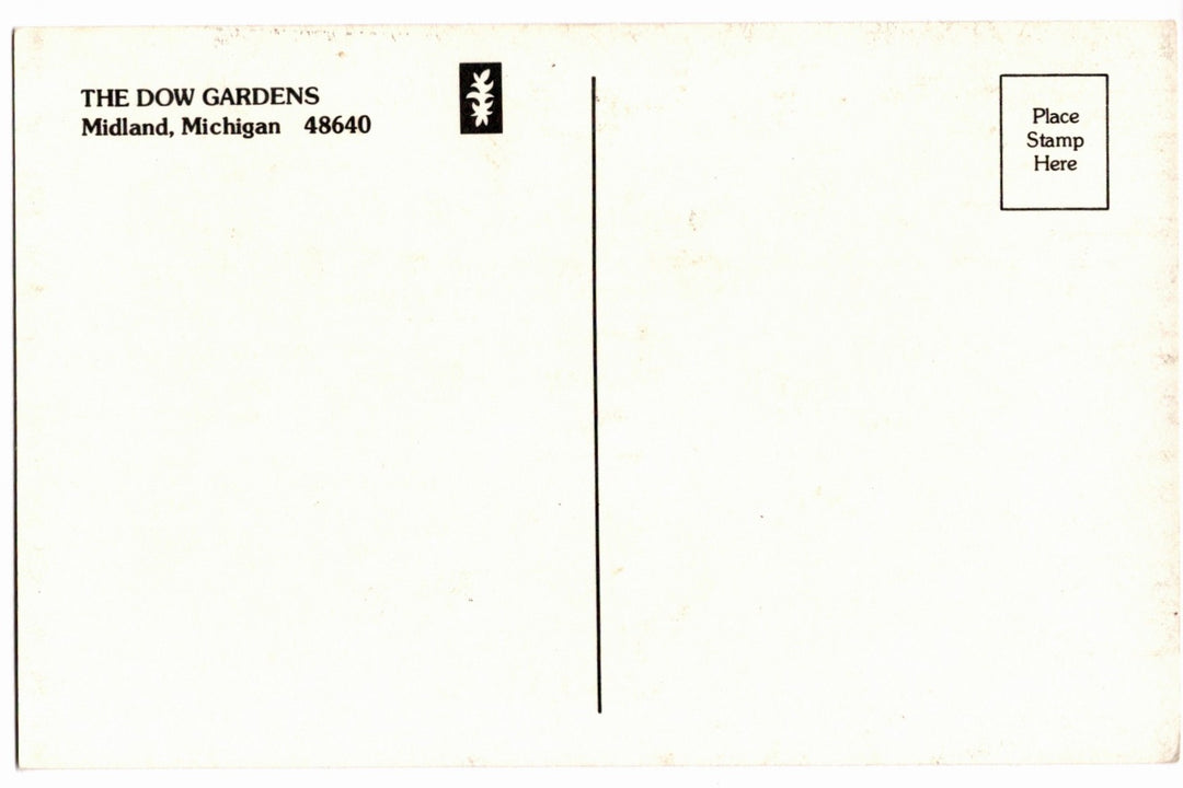 1970s Dow Gardens Lilac in Bloom, Midland, Michigan Vintage Postcard.