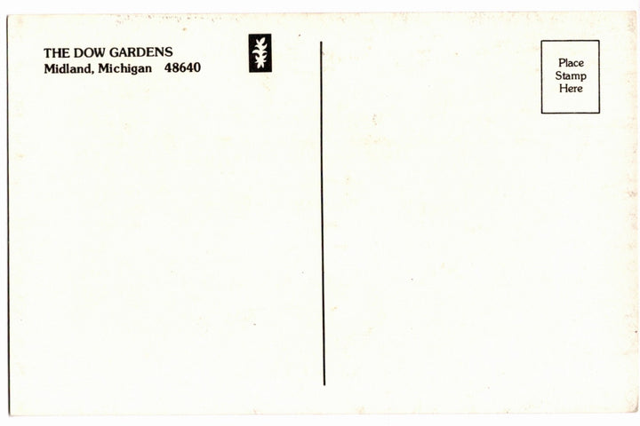 1970s Dow Gardens Lilac in Bloom, Midland, Michigan Vintage Postcard.