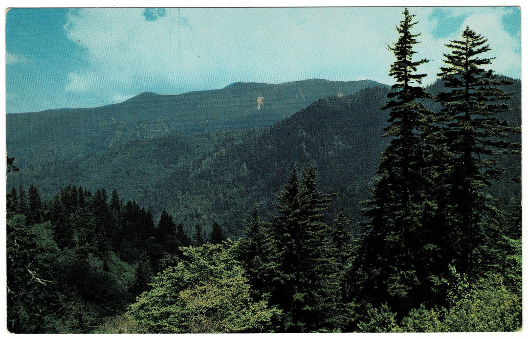 Great Smoky Mountains View Gatlinburg Tennessee Vintage Postcard.