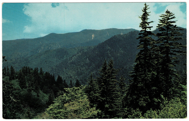Great Smoky Mountains View Gatlinburg Tennessee Vintage Postcard.