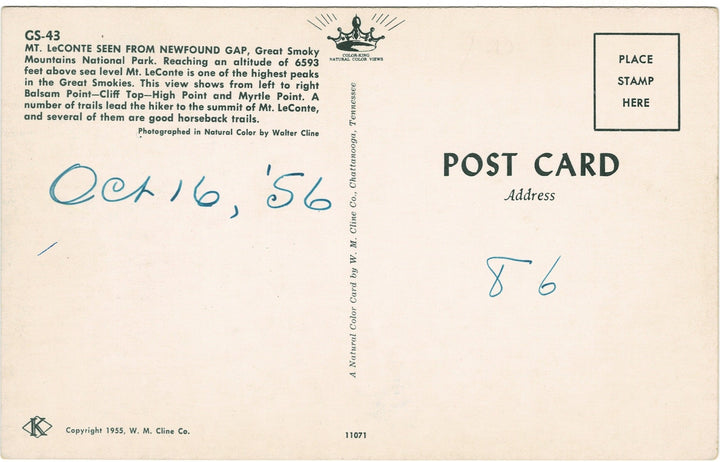 Vintage Postcard.