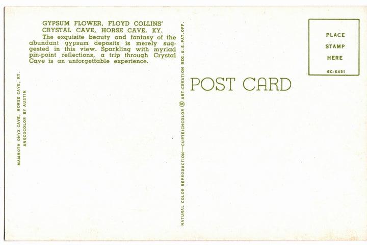 1956 Gypsum Flower, Horse Cave Kentucky Vintage Postcard.