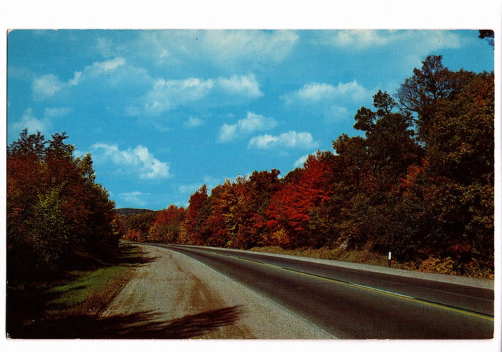 1960s Autumnal Majesty Roadway, Aurora, Illinois Vintage Postcard.
