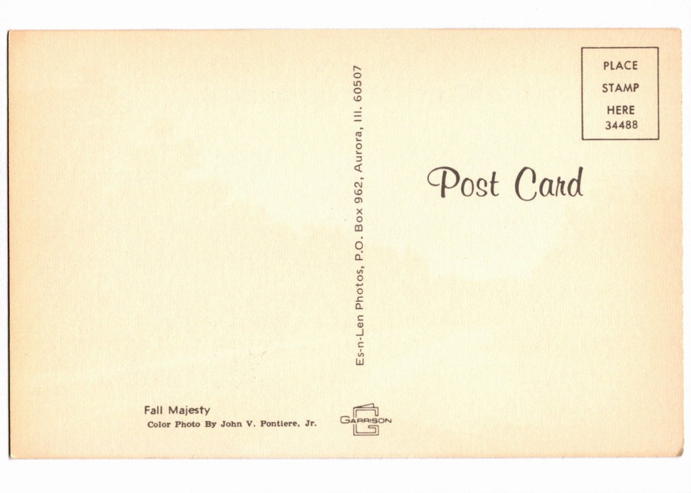 1960s Autumnal Majesty Roadway, Aurora, Illinois Vintage Postcard.