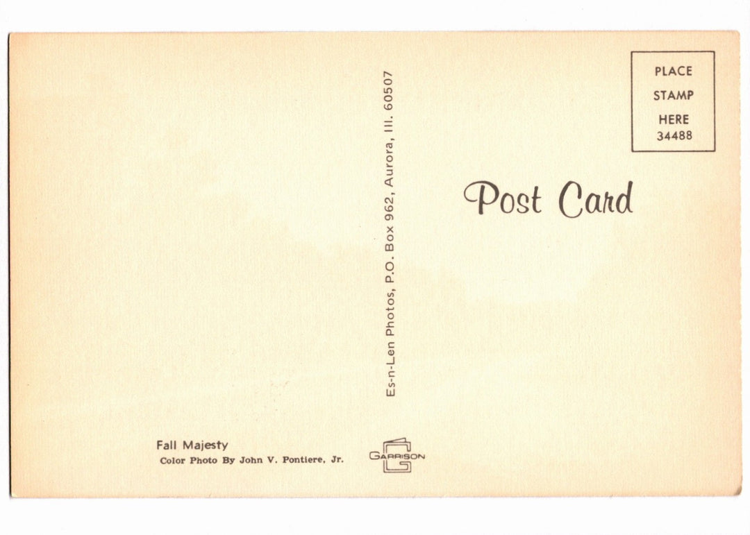 1960s Autumnal Majesty Roadway, Aurora, Illinois Vintage Postcard.