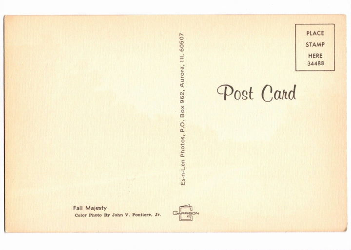 1960s Autumnal Majesty Roadway, Aurora, Illinois Vintage Postcard.