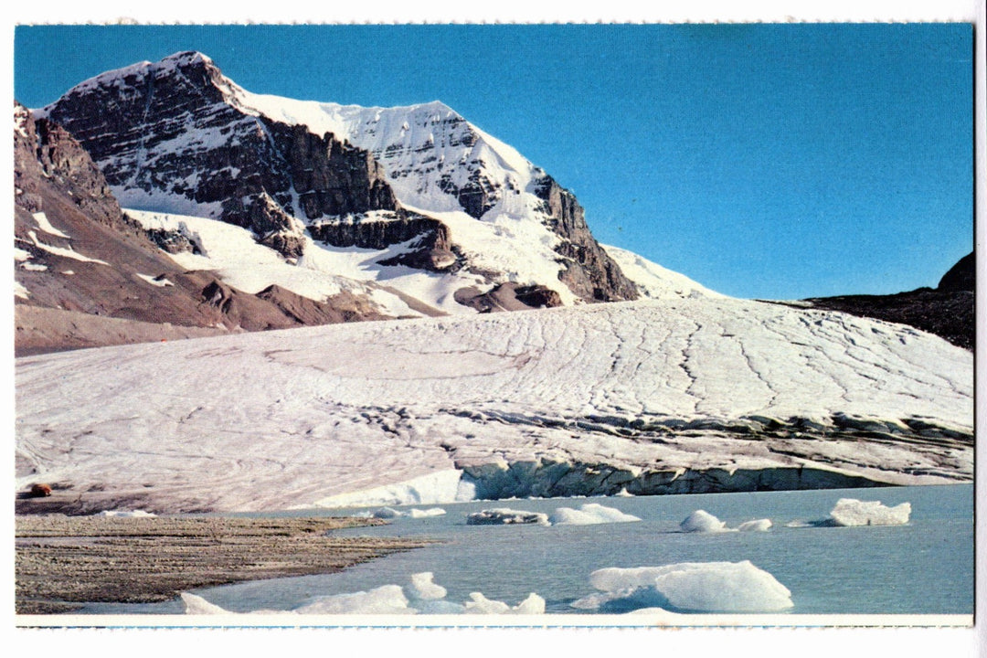 Athabasca Glacier Columbia Icefield Canadian Rockies.