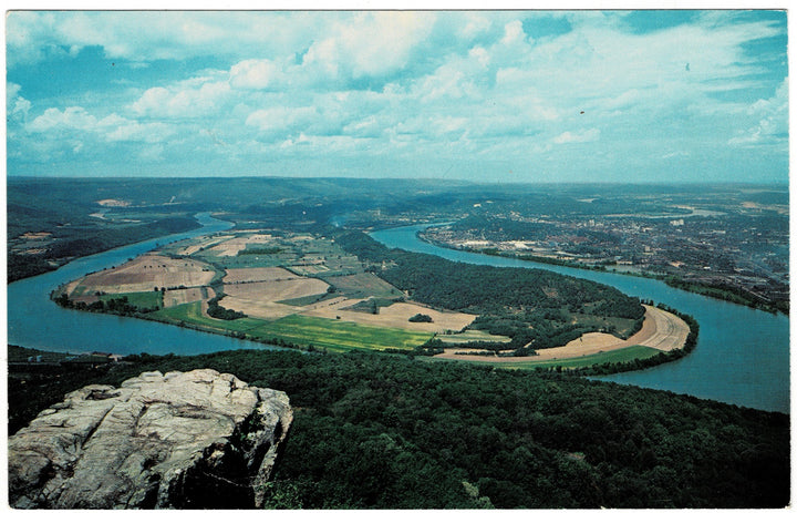 Vintage Postcard.