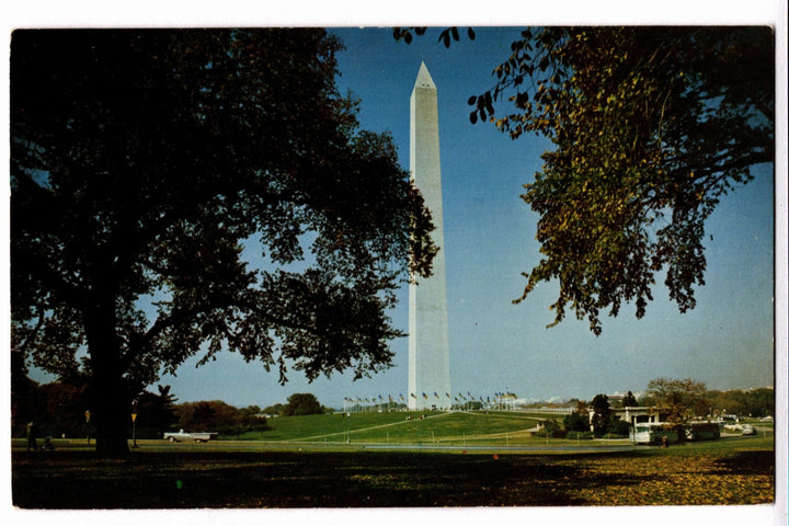 Washington Monument with trees on either side against a blue sky
