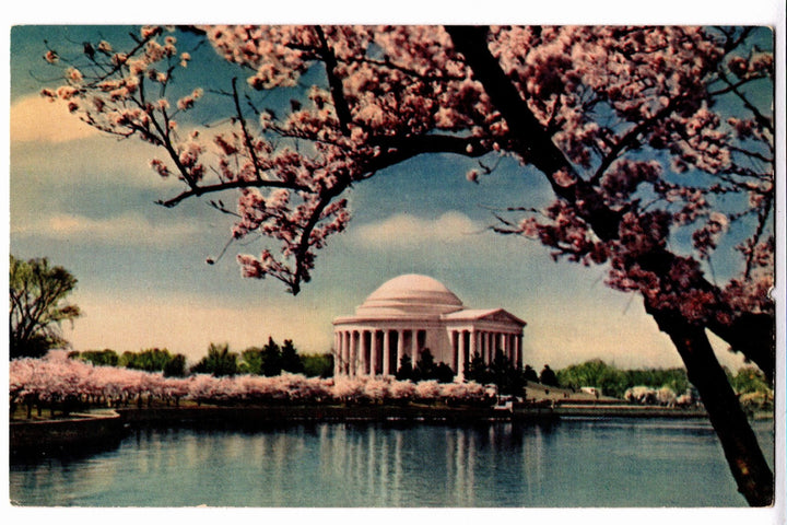 Jefferson Memorial with cherry blossom trees in bloom.