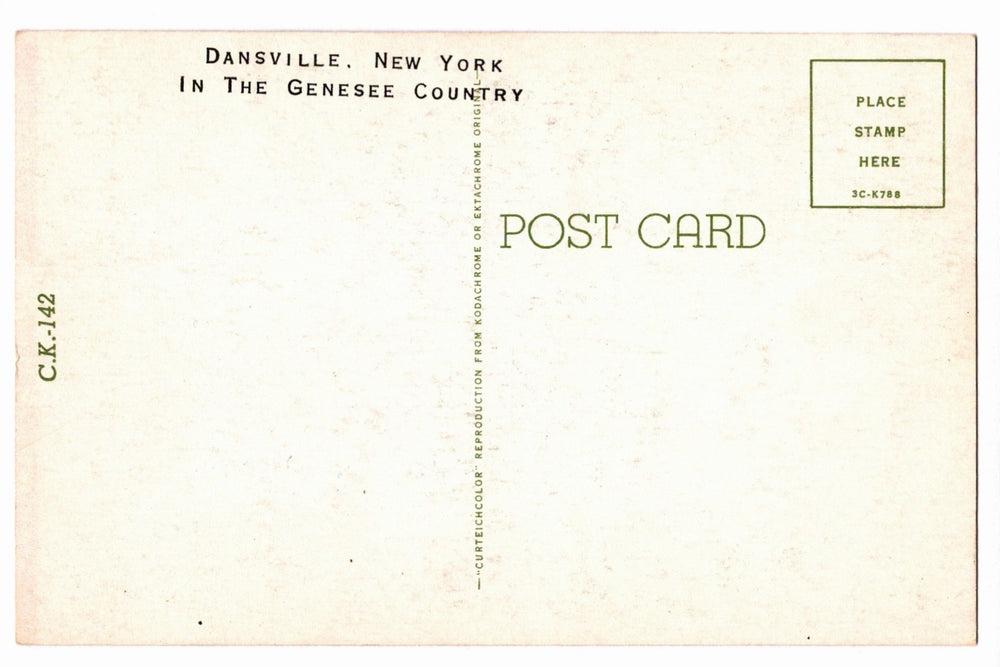 1953 Ozarks Scenic Lake, Marked Dansville, NY Vintage Postcard.