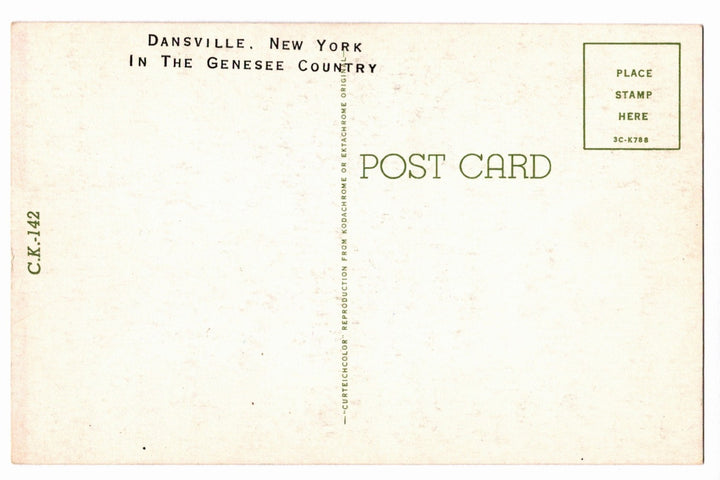 1953 Ozarks Scenic Lake, Marked Dansville, NY Vintage Postcard.