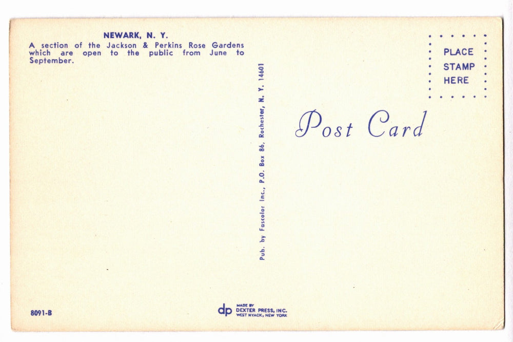 1964 Jackson & Perkins Rose Gardens, Newark New York Vintage Postcard.