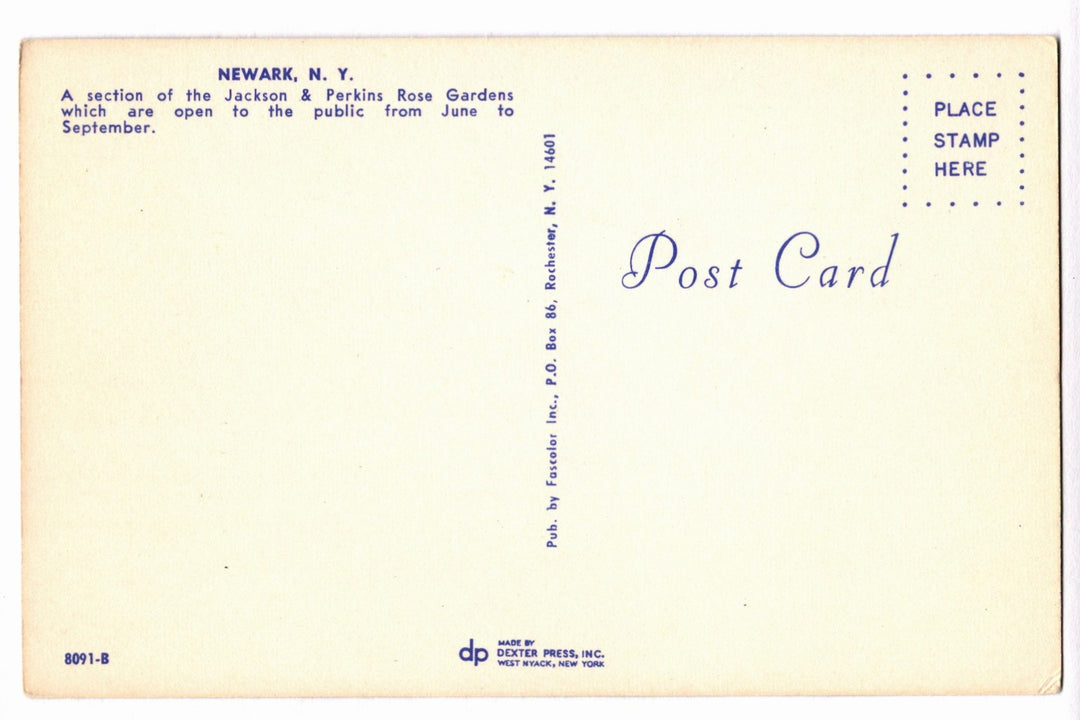 1964 Jackson & Perkins Rose Gardens, Newark New York Vintage Postcard.