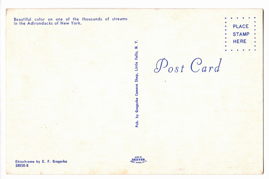 1962 Flaming Red Maple in the Adirondacks, New York Vintage Postcard.