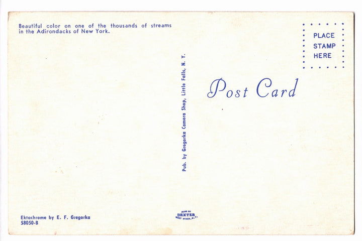 1962 Flaming Red Maple in the Adirondacks, New York Vintage Postcard.