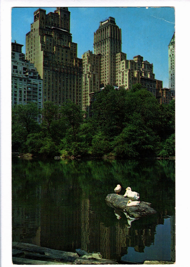 City skyline with tall buildings and a lake with a log and birds in Central Park, New York.