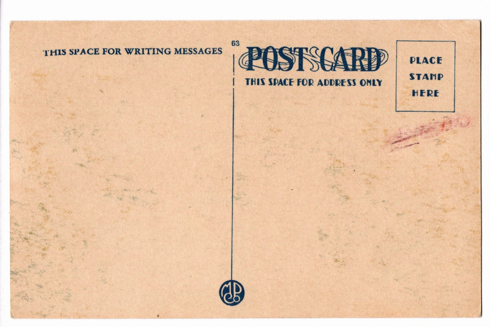 1910 Grant’s Tomb, Riverside Park, New York City Vintage Postcard.