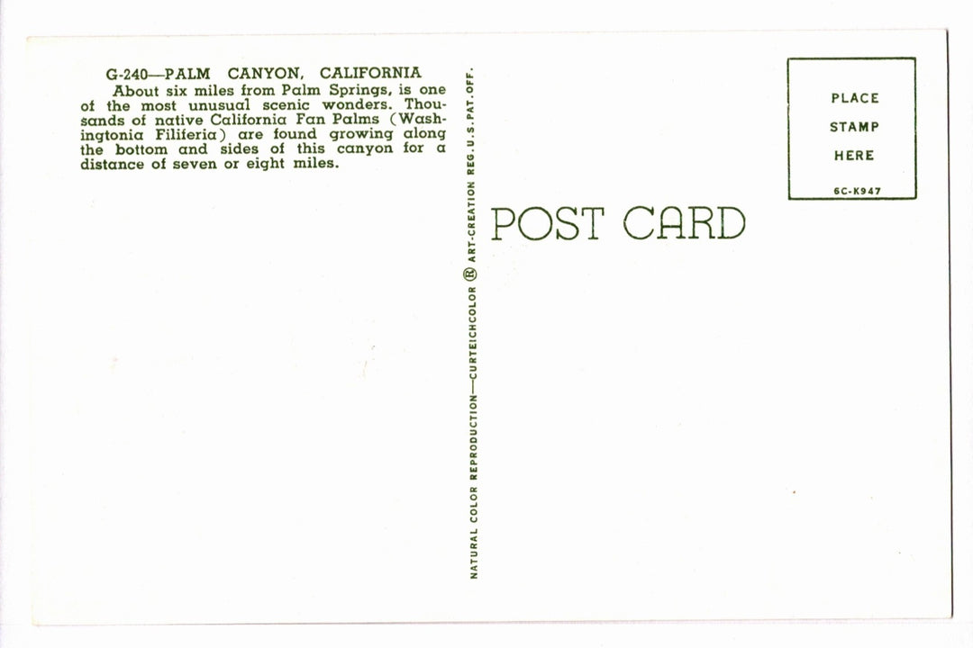 1956 Palm Canyon Oasis Near Palm Springs California Vintage Postcard.