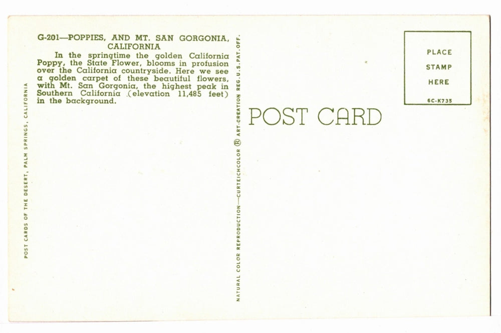 1956 California Poppies and Mt. San Gorgonio Vintage Postcard.