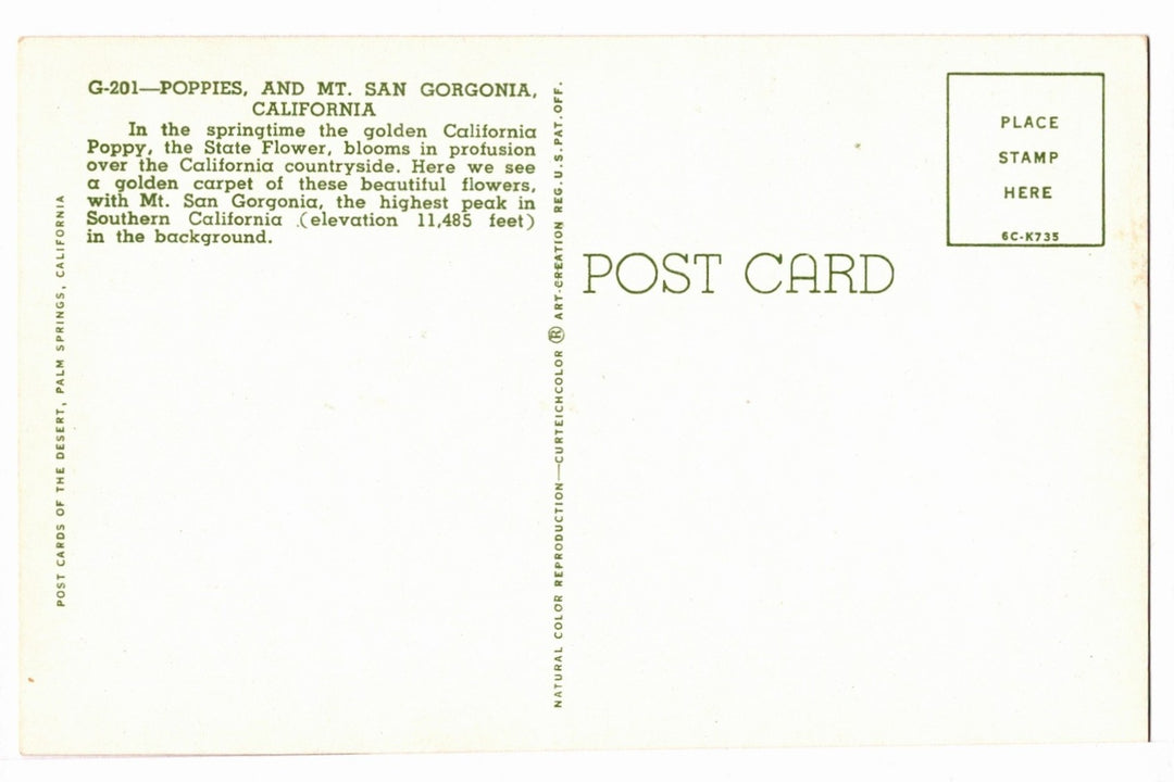 1956 California Poppies and Mt. San Gorgonio Vintage Postcard.