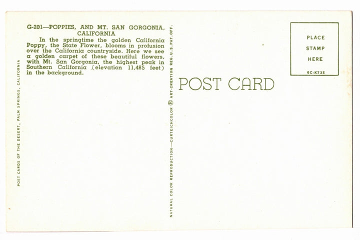 1956 California Poppies and Mt. San Gorgonio Vintage Postcard.