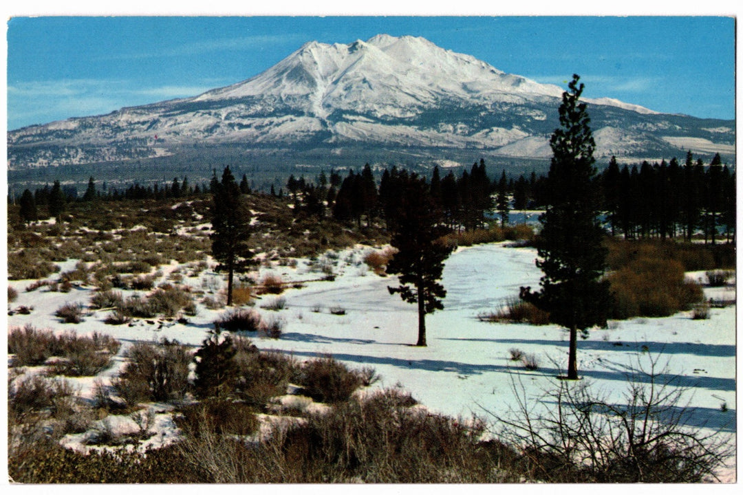 1950s Mount Shasta Winter Scene, California Vintage Postcard.