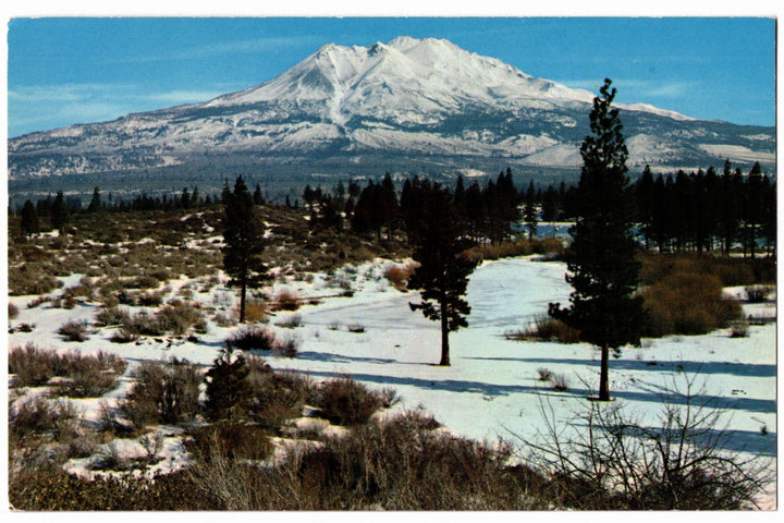 1950s Mount Shasta Winter Scene, California Vintage Postcard.
