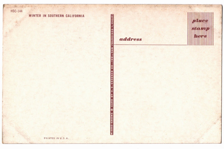 1950s Citrus Grove in Winter, Southern California Vintage Postcard.