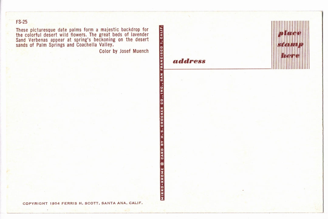 1954 Date Palms Desert Wildflowers Palm Springs CA Vintage Postcard.