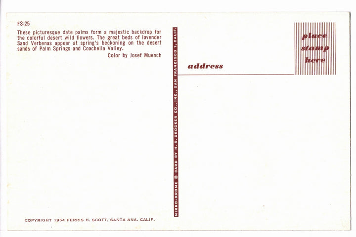 1954 Date Palms Desert Wildflowers Palm Springs CA Vintage Postcard.