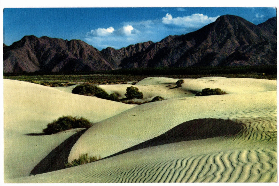 1950s Sand Dunes Palm Springs Coachella Valley CA Vintage Postcard.