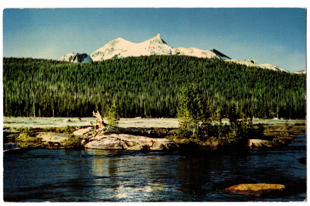 1950s Tuolumne Meadows, Yosemite National Park, CA Vintage Postcard.