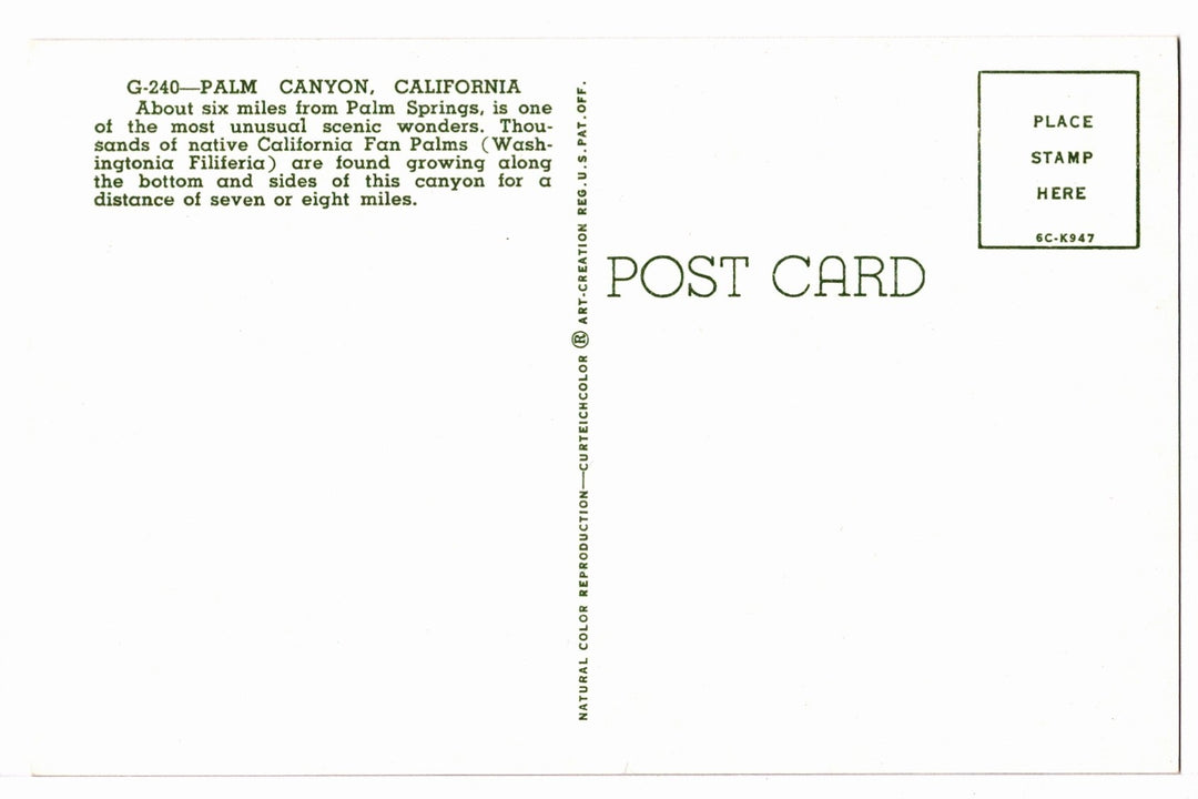 1956 Palm Canyon Sanctuary California Vintage Postcard.