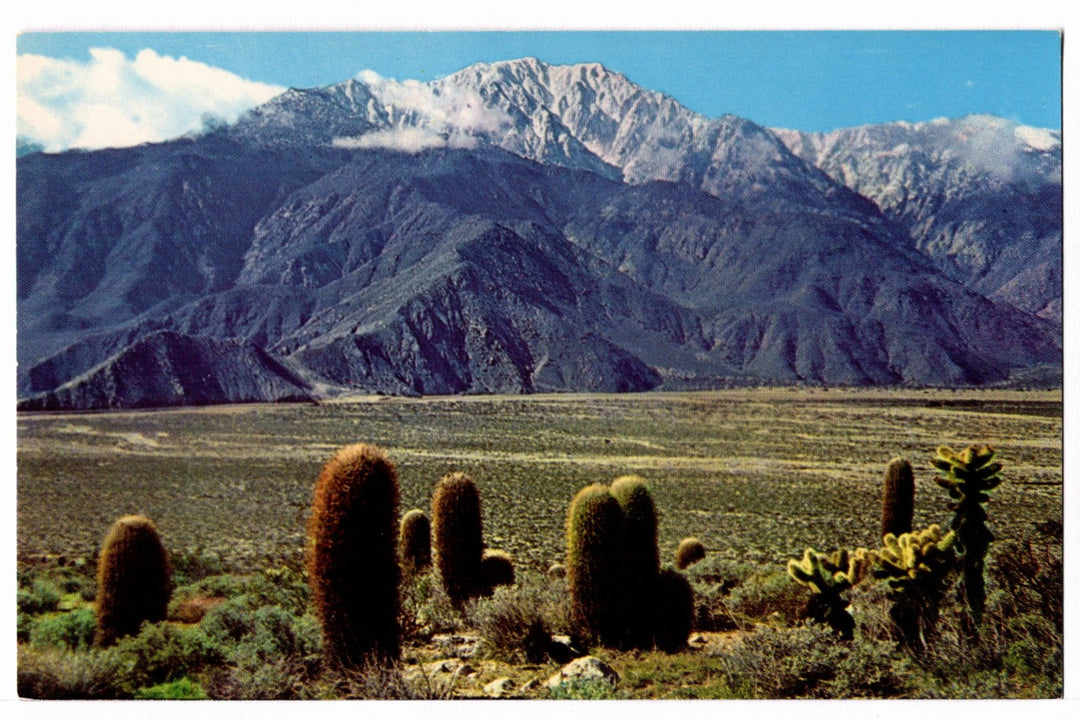 1956 Mt. San Jacinto from Devil’s Garden, California Vintage Postcard.