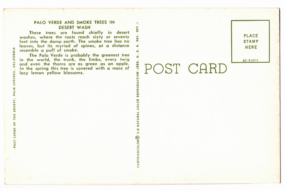 1958 Palo Verde Smoke Trees Desert  Palm Springs CA Vintage Postcard.