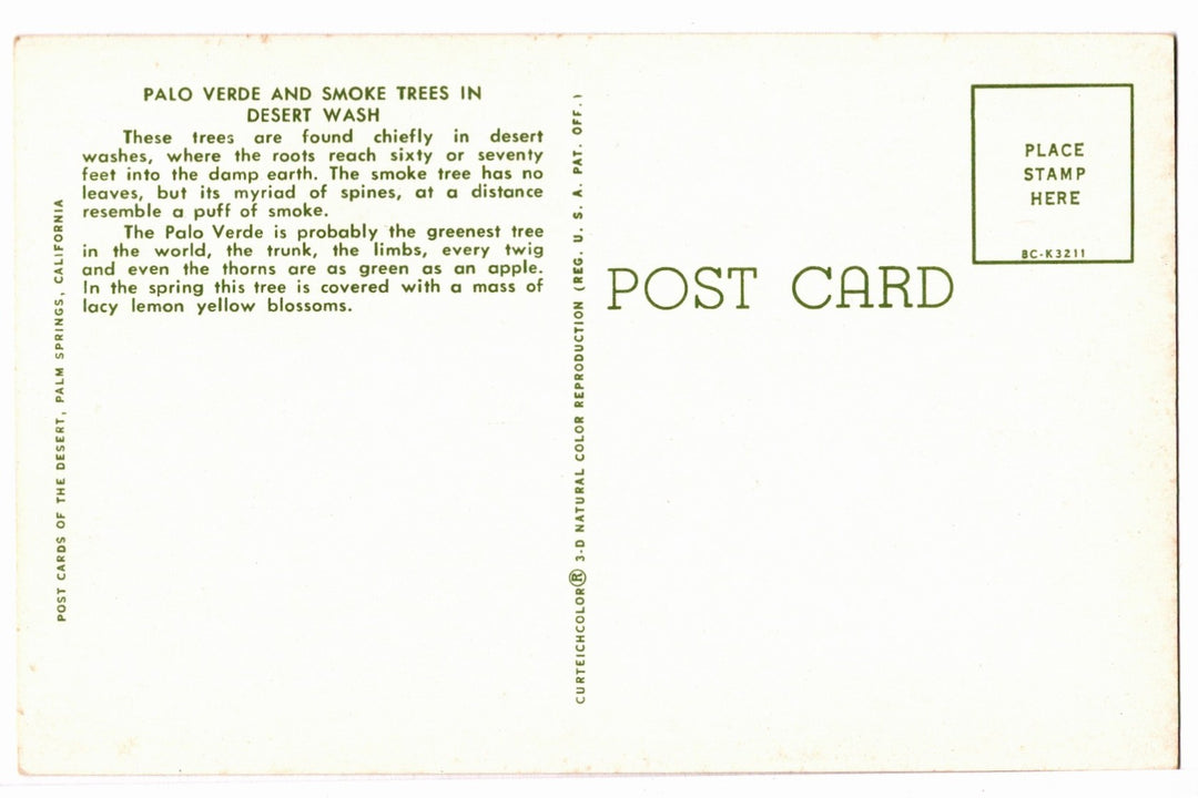 1958 Palo Verde Smoke Trees Desert  Palm Springs CA Vintage Postcard.