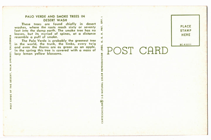 1958 Palo Verde Smoke Trees Desert  Palm Springs CA Vintage Postcard.
