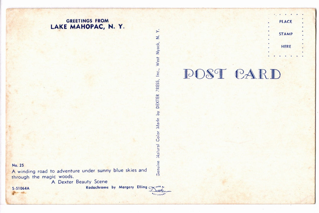 1965 Lake Mahopac, New York, Autumn Road Scene Vintage Postcard.