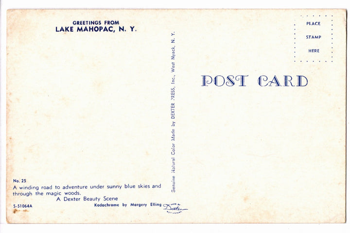 1965 Lake Mahopac, New York, Autumn Road Scene Vintage Postcard.